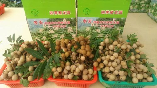 肇慶被確定為國家農(nóng)產(chǎn)品質(zhì)量安全市創(chuàng)建單位，躍居全省第三