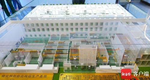 美安科技新城 打造創新藥企新高地，引領珍稀中藥材替代與軟件科技融合發展