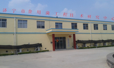 軟件科技領(lǐng)域內(nèi)的技術(shù)開發(fā) 創(chuàng)新驅(qū)動(dòng)，賦能未來